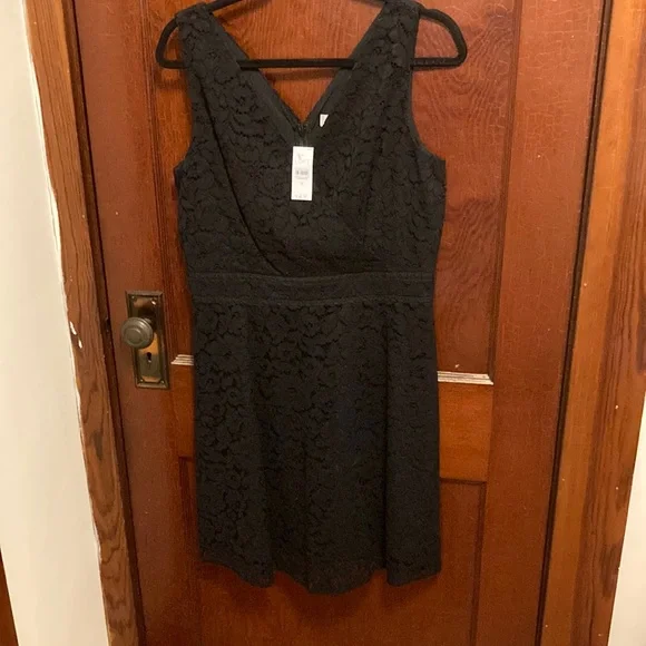 midi dress with lace overlay Never Look Back Navy Floral Lace Short Sleeve Velvet Trim Midi Dress